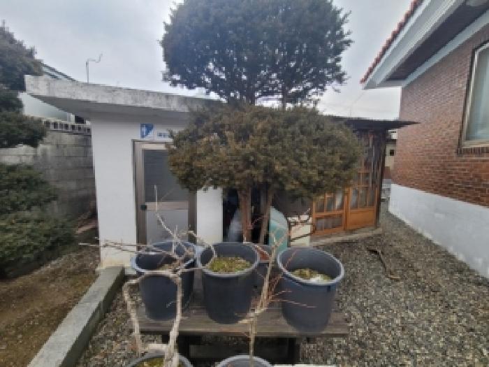 괴산군 청천면 청천리 단독주택 경매 물건 사진