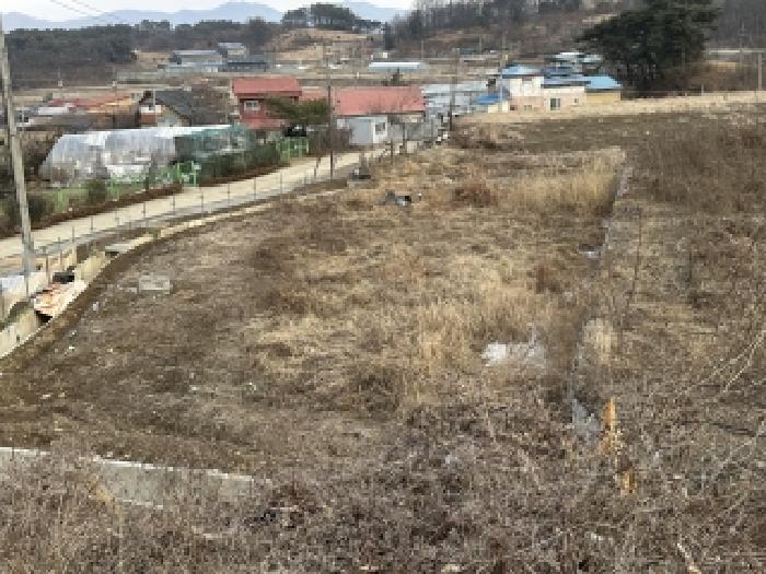 청주시 상당구 남일면 답 경매 물건 사진