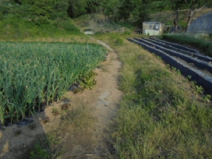 청주시 흥덕구 강내면 대지 경매 물건 사진