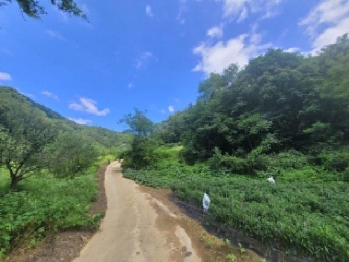보은군 마로면 소여리 전 경매 물건 사진