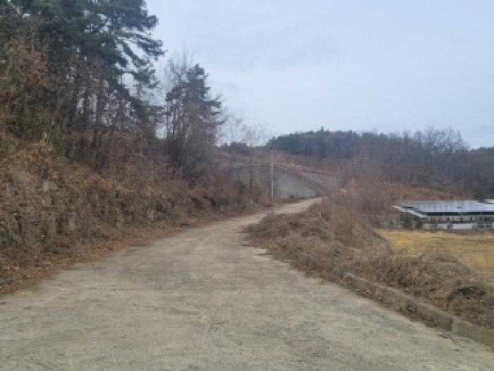 증평군 도안면 도당리 임야 경매 물건 사진