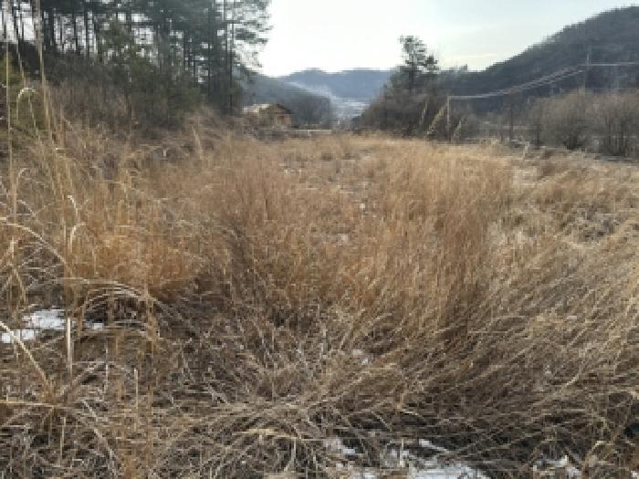 청주시 상당구 미원면 임야 경매 물건 사진