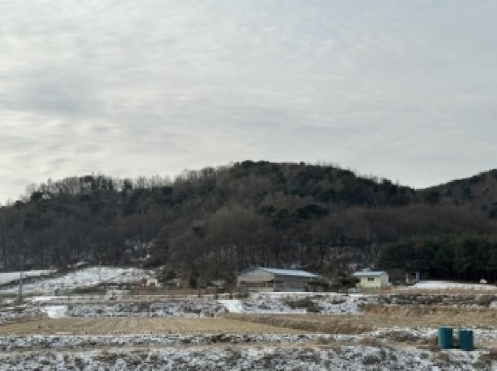 청주시 상당구 낭성면 전 경매 물건 사진