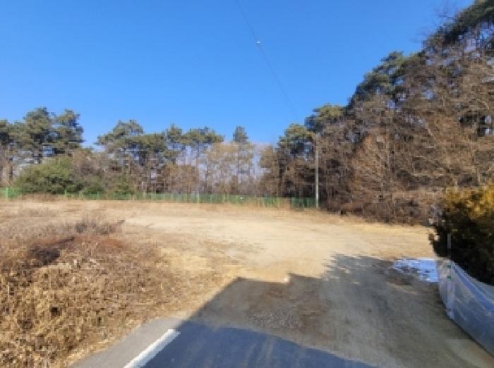 증평군 증평읍 덕상리 대지 경매 물건 사진