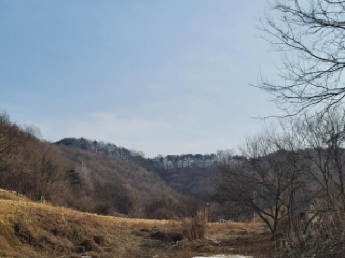 괴산군 소수면 아성리 임야 경매 물건 사진