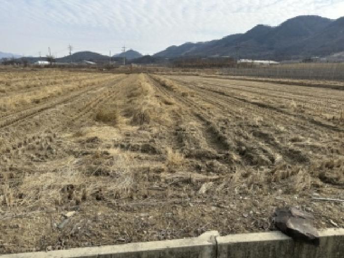 보은군 삼승면 천남리 전답 경매 물건 사진