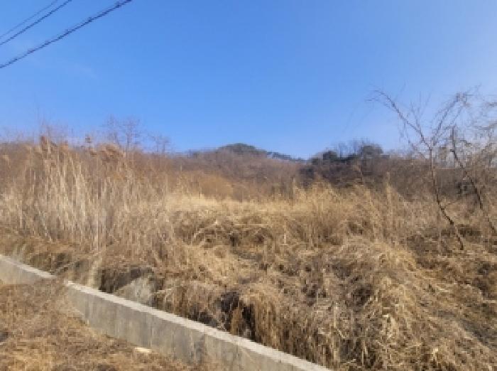 청주시 청원구 내수읍 전답 경매 물건 사진