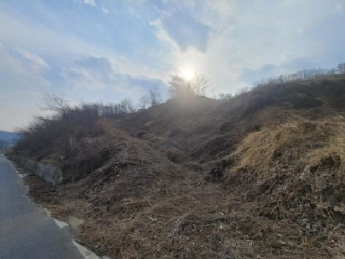 괴산군 괴산읍 신기리 임야 경매 물건 사진
