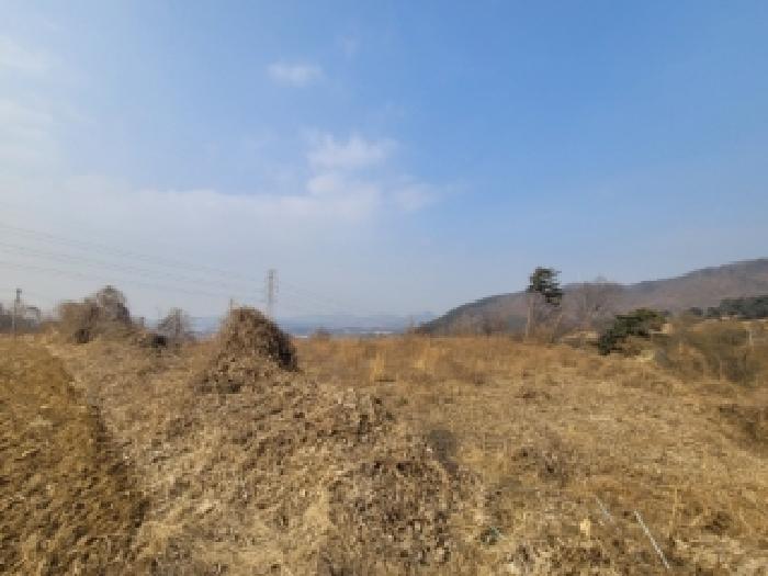 청주시 청원구 내수읍 전 경매 물건 사진
