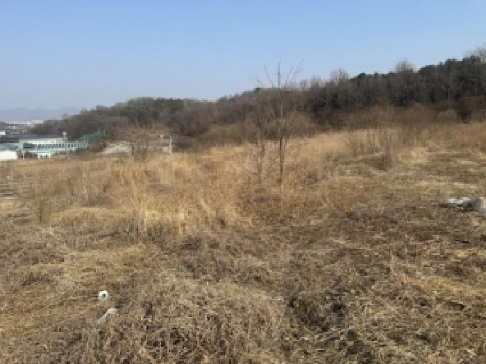 청주시 서원구 남이면 대지,임야,전답 경매 물건 사진