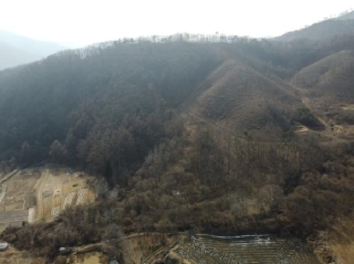 진천군 백곡면 용덕리 임야 경매 물건 사진