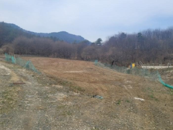 괴산군 청천면 강평리 전 경매 물건 사진