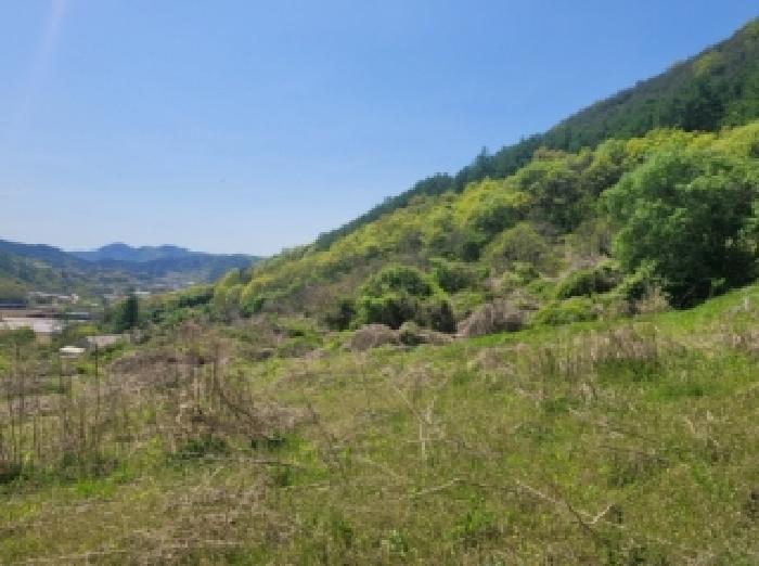 괴산군 청천면 신월리 대지,임야,전답 경매 물건 사진