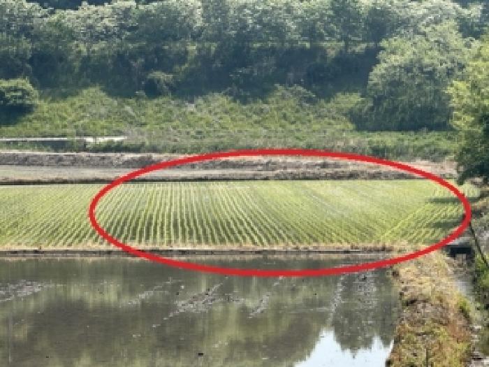보은군 삼승면 둔덕리 전답 경매 물건 사진