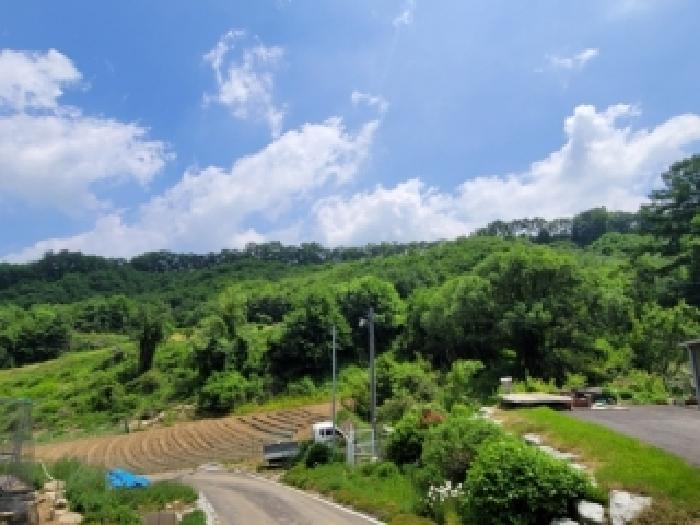 괴산군 괴산읍 신항리 임야 경매 물건 사진