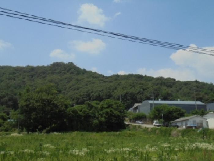 진천군 광혜원면 죽현리 임야 경매 물건 사진