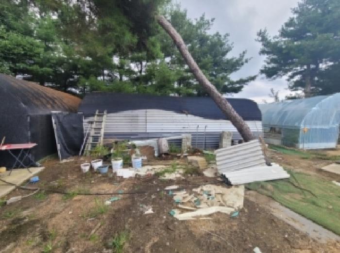 청주시 상당구 낭성면 동물및식물관련시설 경매 물건 사진