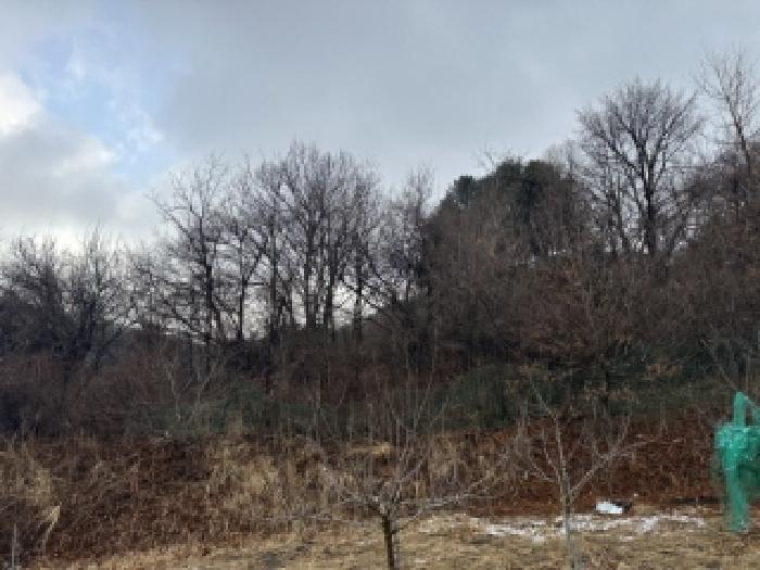 청주시 상당구 낭성면 전답 경매 물건 사진