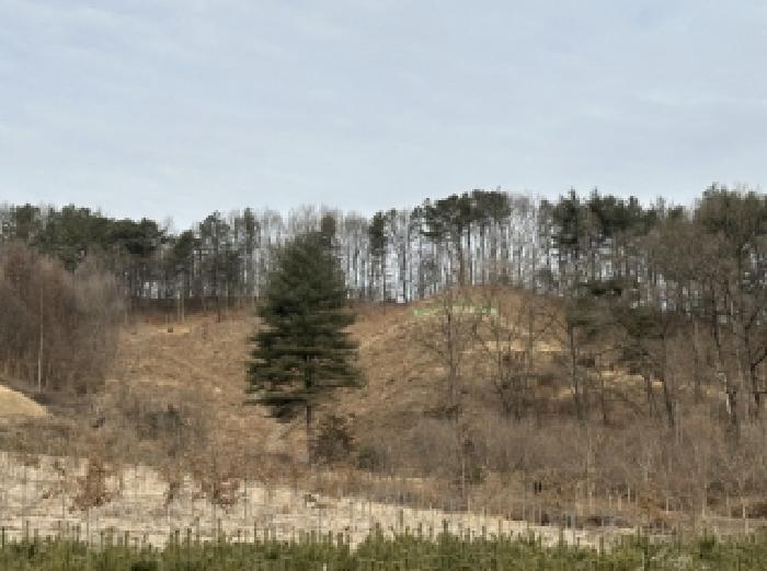 청주시 상당구 미원면 임야 경매 물건 사진