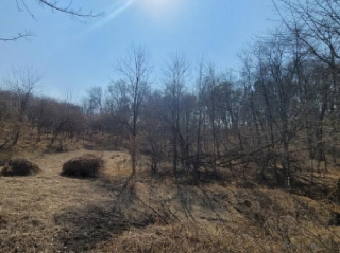 청주시 청원구 내수읍 목장용지 경매 물건 사진