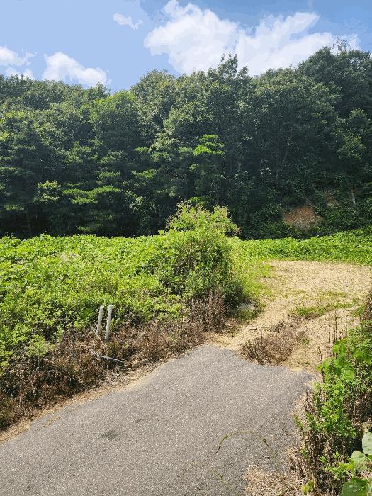 음성군 감곡면 상우리 대지 경매 물건 사진