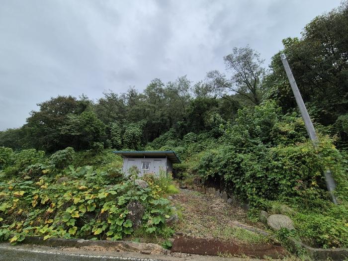 충주시 수안보면 고운리 전 경매 물건 사진