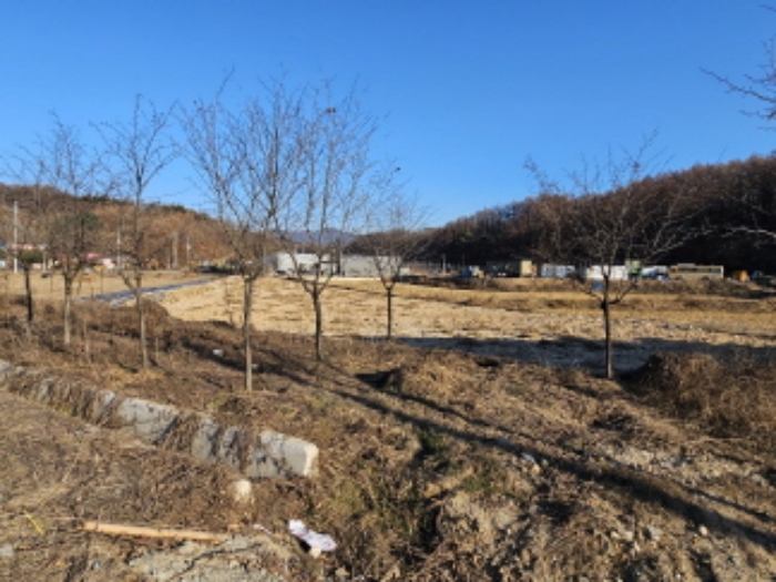 충주시 동량면 대전리 전답 경매 물건 사진