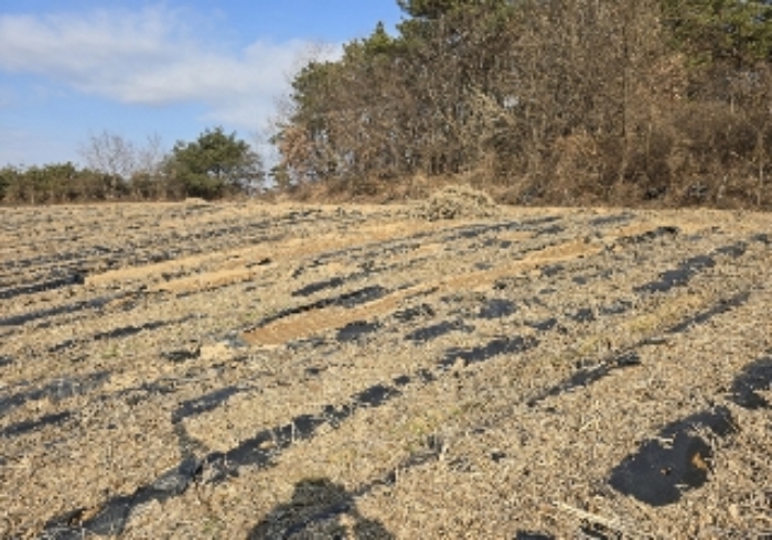 충주시 주덕읍 대곡리 전 경매 물건 사진