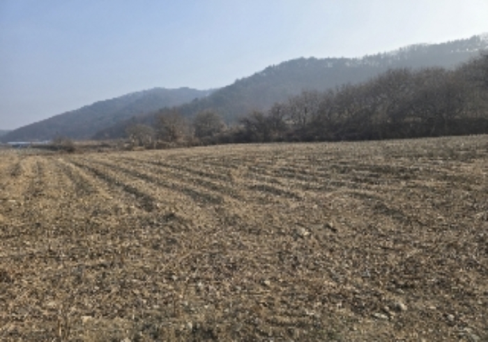 음성군 원남면 덕정리 전답 경매 물건 사진