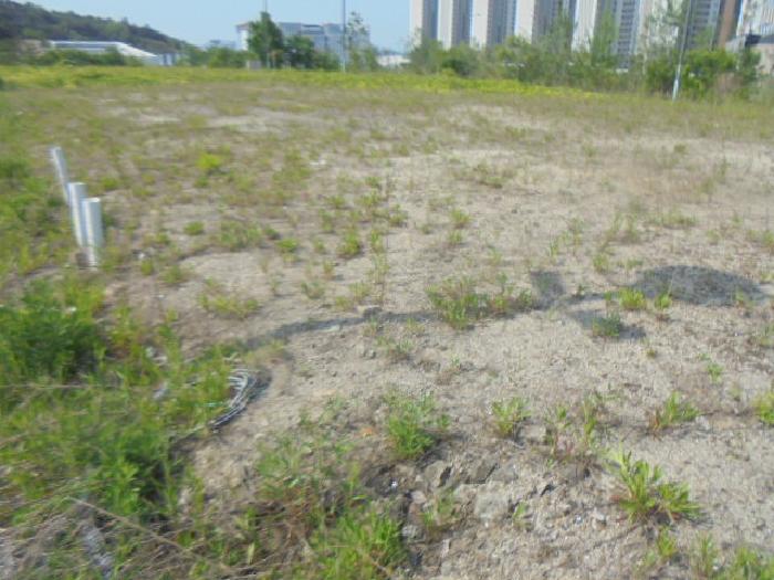 충주시 주덕읍 화곡리 공원 경매 물건 사진
