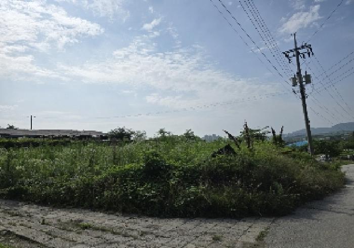 충주시 안림동 393-3 과수원 경매 물건 사진