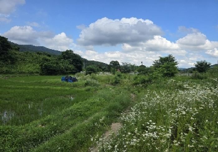 음성군 음성읍 한벌리 답 경매 물건 사진