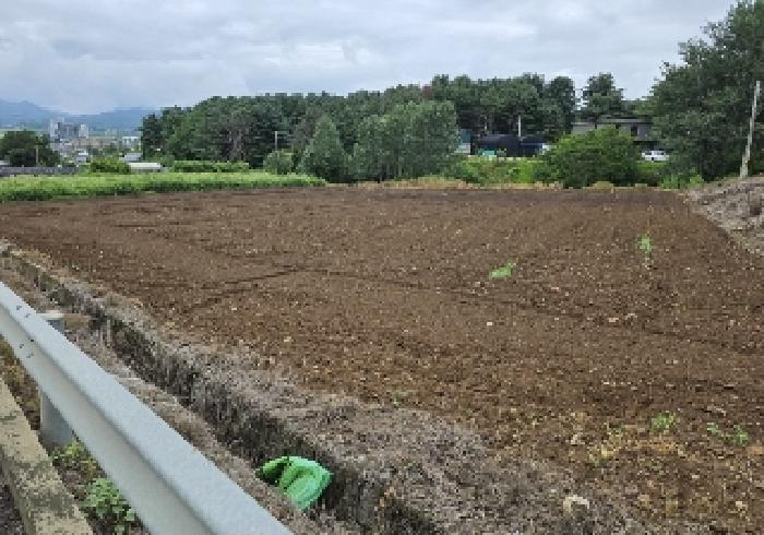 충주시 주덕읍 신양리 전 경매 물건 사진