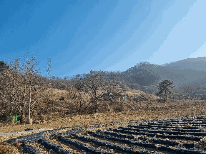 충주시 소태면 양촌리 임야 경매 물건 사진
