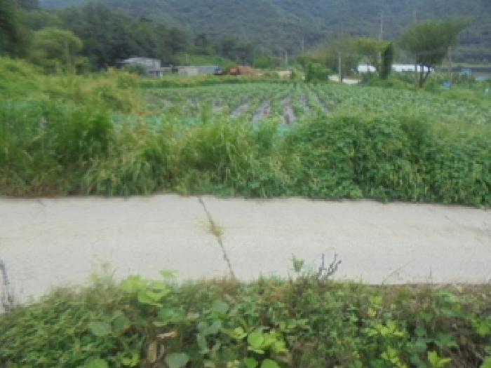 음성군 원남면 덕정리 전 경매 물건 사진