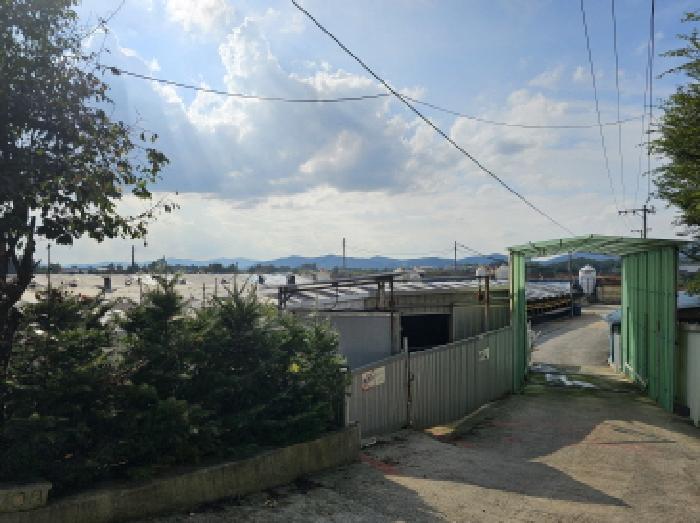 음성군 삼성면 대정리 동물및식물관련시설 경매 물건 사진