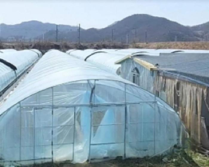 충주시 달천동 835-176 전답 경매 물건 사진