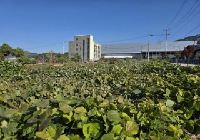 충주시 용탄동 1179 주차장 경매 물건 사진