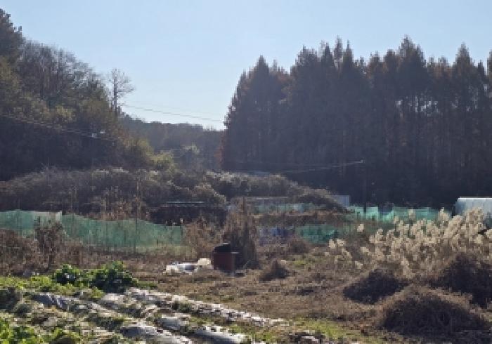 충주시 목행동 355-7 답 경매 물건 사진