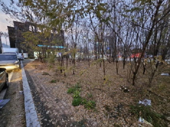 음성군 금왕읍 금석리 대지,임야,전답 경매 물건 사진