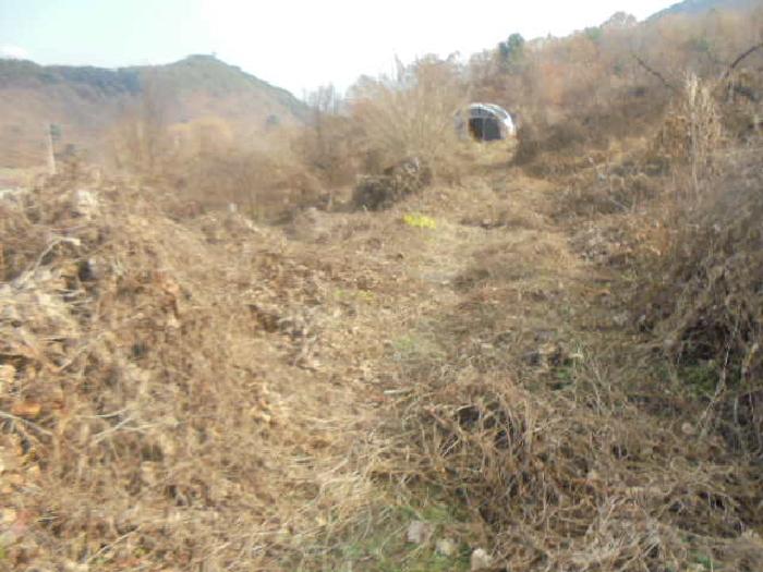 충주시 수안보면 온천리 전 경매 물건 사진
