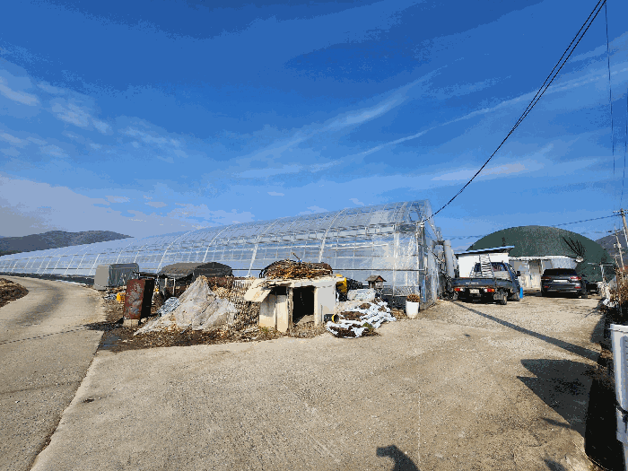 충주시 신니면 신청리 답 경매 물건 사진
