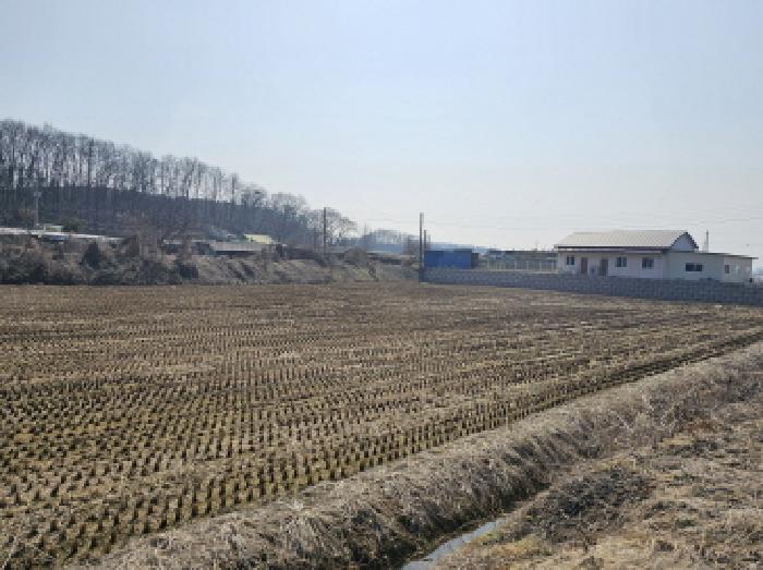 음성군 금왕읍 본대리 답 경매 물건 사진