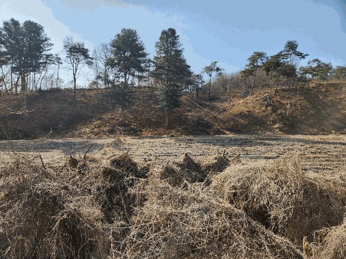 충주시 앙성면 조천리 전 경매 물건 사진