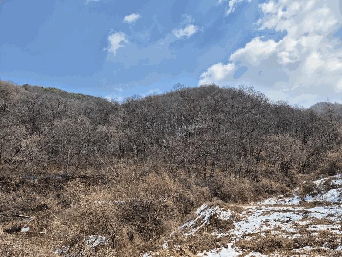 충주시 살미면 향산리 임야 경매 물건 사진