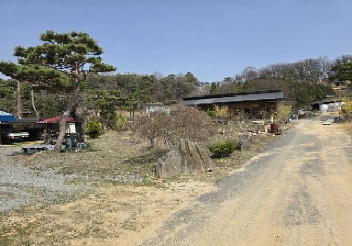 음성군 대소면 내산리 대지 경매 물건 사진
