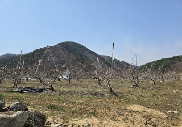 충주시 수안보면 안보리 답 경매 물건 사진