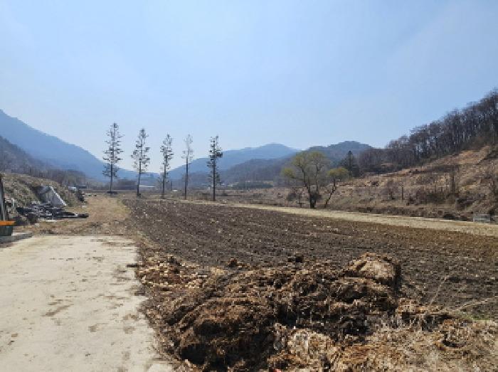 충주시 앙성면 지당리 답 경매 물건 사진