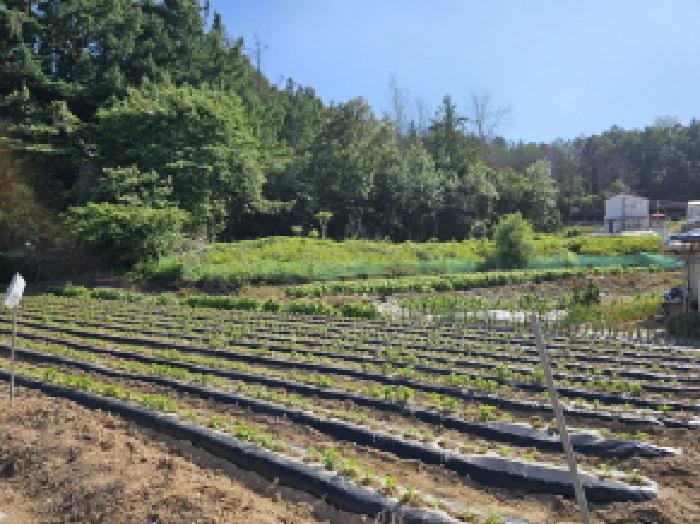 충주시 대소원면 만정리 동물및식물관련시설 경매 물건 사진