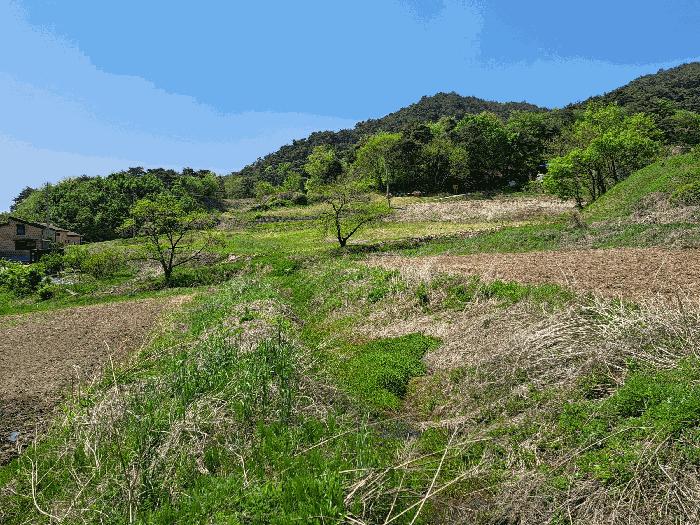 충주시 산척면 송강리 답 경매 물건 사진